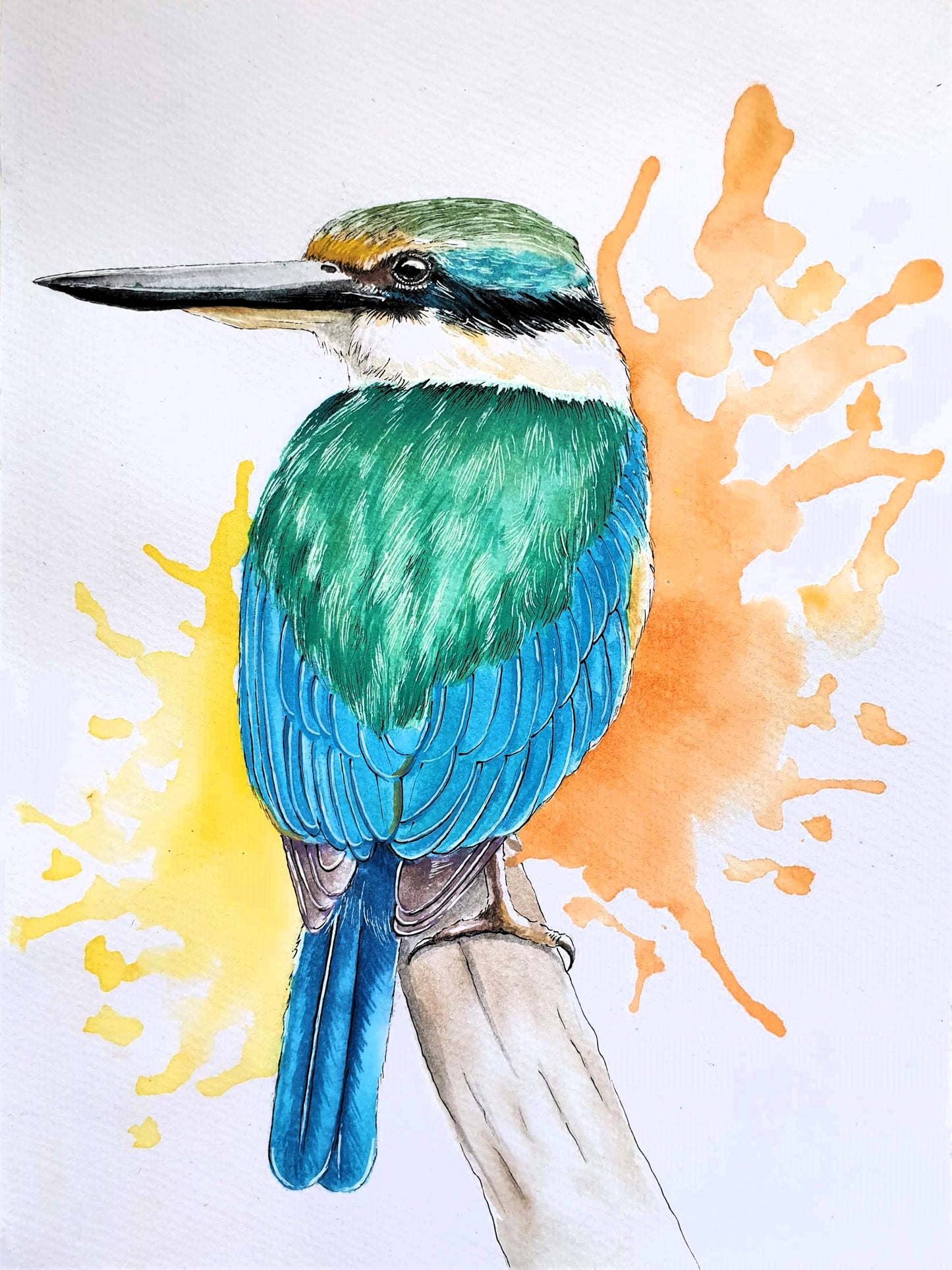 Watercolor A4 Print - Kōtare