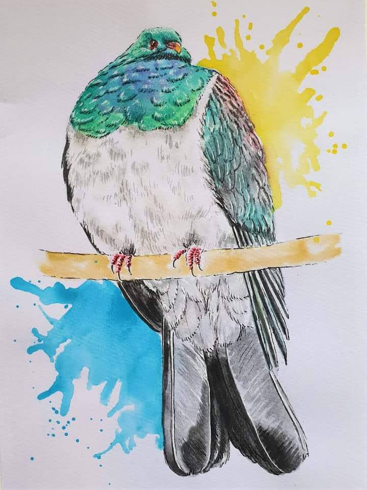 Watercolour A4 Print - Kereru