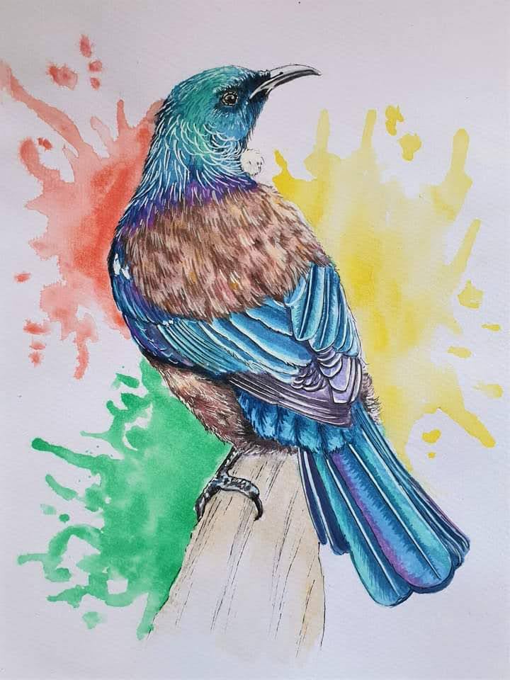 Watercolour A4 Print - Tui