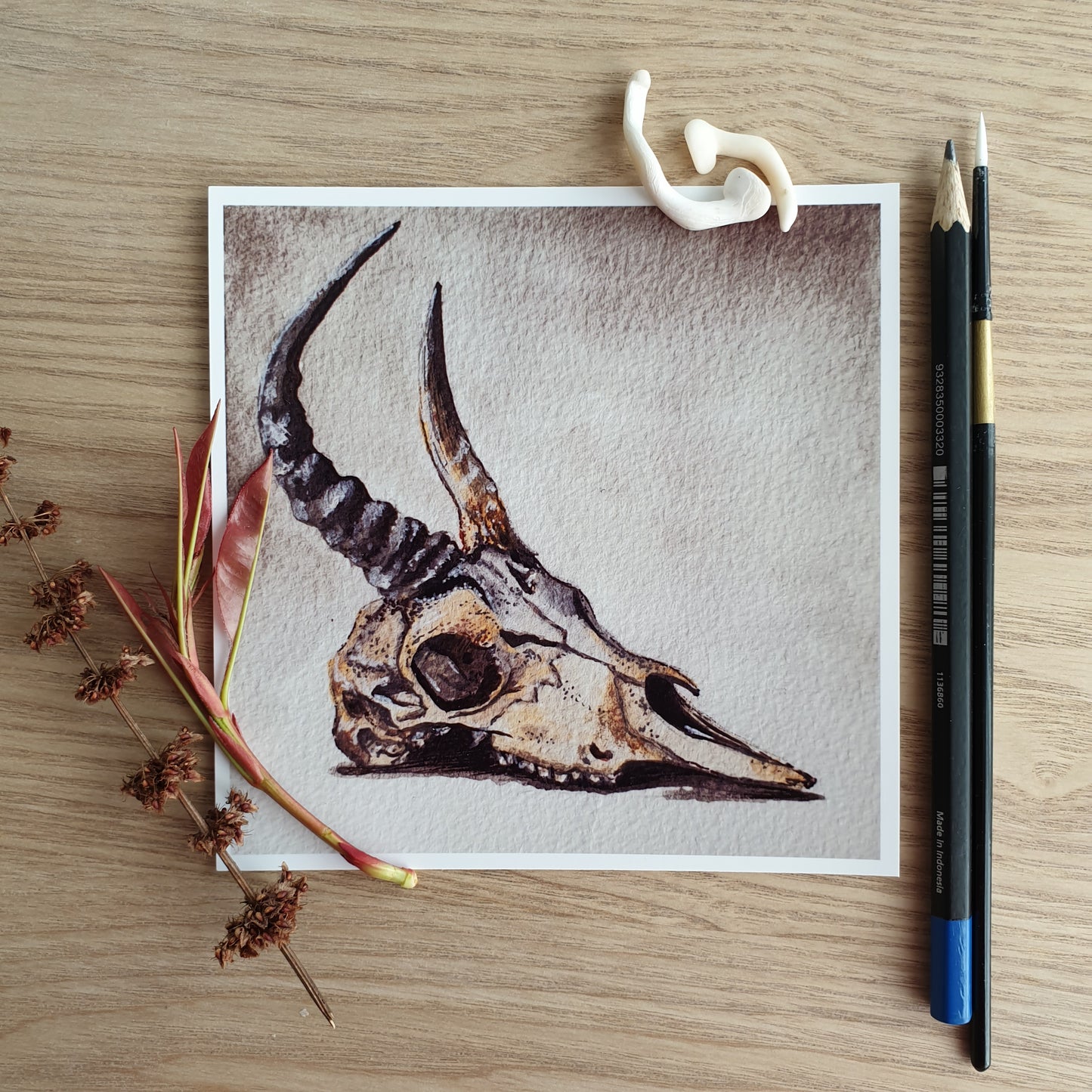 5x5 inch Glossy Print - Animal skull