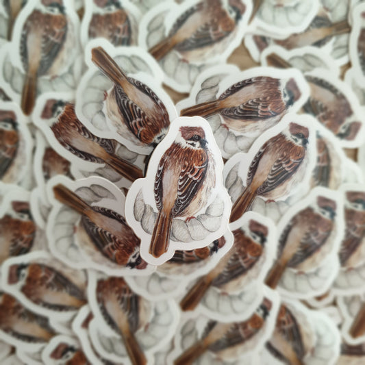 Sparrow Sticker